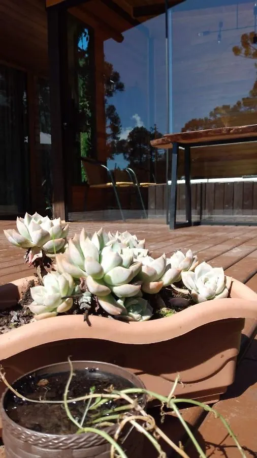 Sentiero Cabanas Boutique Urubici Apartamento